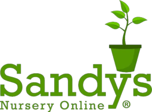 Save 15% Reduction Select Items At Sandysnurseryonline.com With Coupon Code