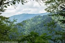 Slash 10% Saving The Price At Smoky Mountains