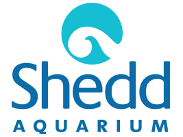 Anything On Sale Up To 15% Off For A Limited Time Only At Shedd Aquarium