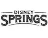 Save 10% On Your Orders At Disney Springs