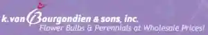 Check K. Van Bourgondien & Sons For The Latest K. Van Bourgondien & Sons Discounts