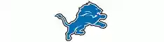 Get Extra 30% Reduction At Shop.detroitlions.com With Coupon Code